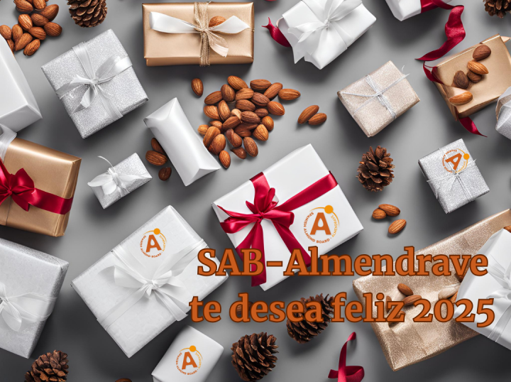 Feliz Navidad y próspero año 2025